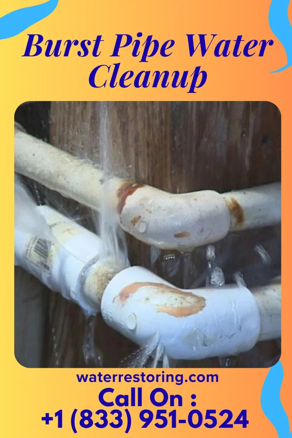 Burst Pipe Water Cleanup in Lucerne Mines, PA