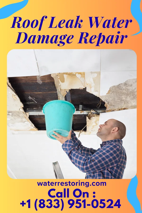 Roof Leak Water Damage Repair in Lucerne Mines, PA