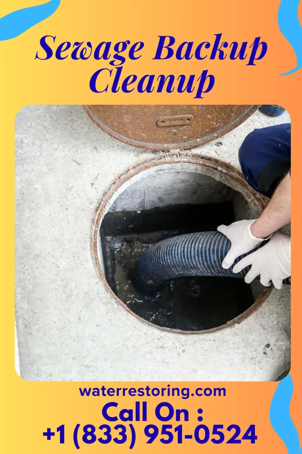 Sewage Backup Cleanup in Lucerne Mines, PA